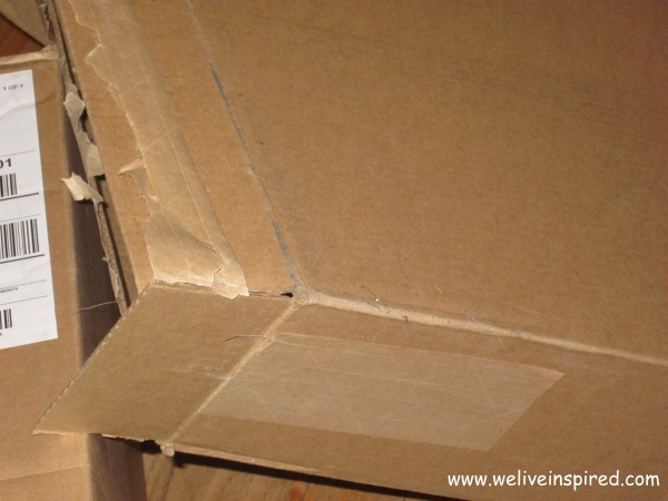 There's a Cat in There!