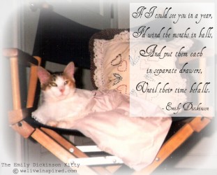 The Emily Dickinson Kitty