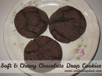 Chocolate Drop Cookie Recipe