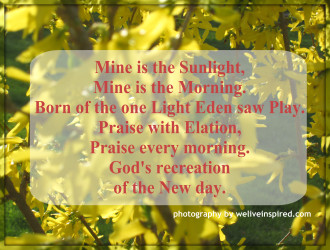 Morning Has Broken Cat Stevens