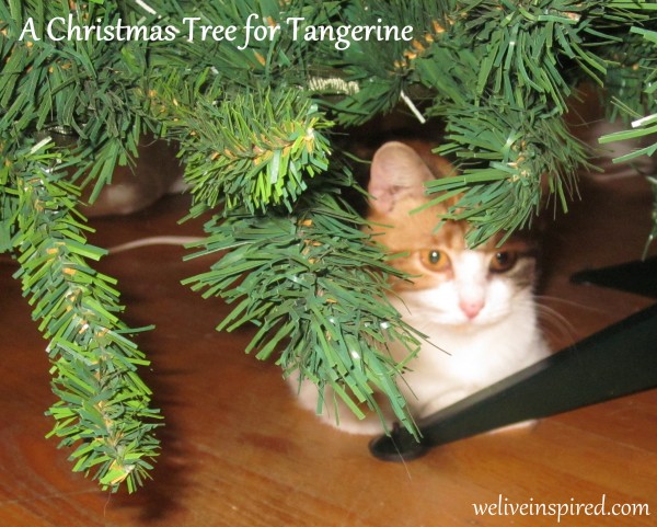 Cat Tales-A Christmas Tree for Tangerine - We Live Inspired!